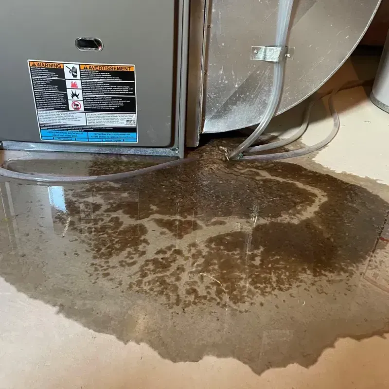 Appliance Leak Cleanup in Ingleside, TX